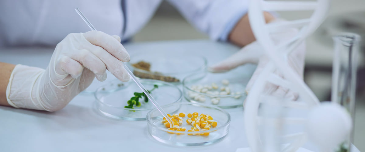 Analisi campione alimenti