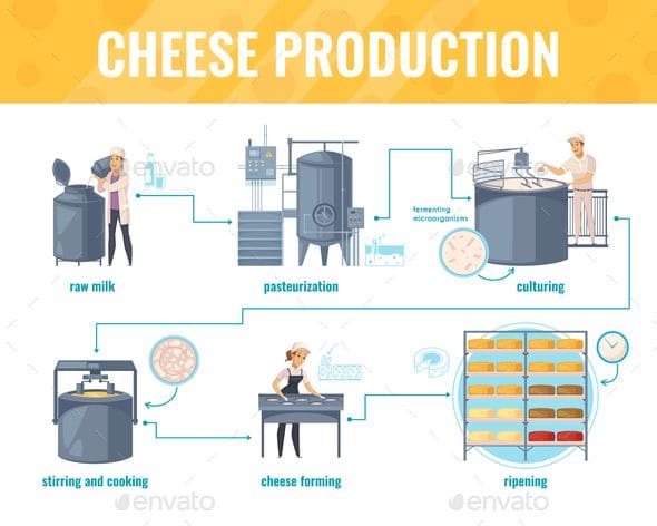 Cheese production