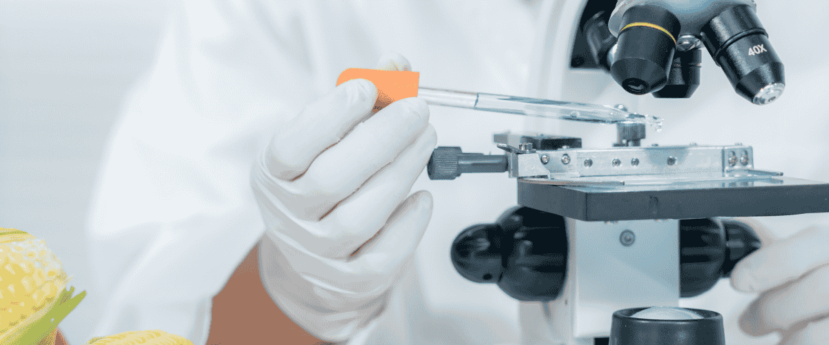 Food Defense strategie