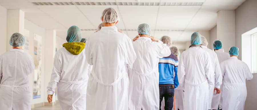 Consulente e Auditor Interno HACCP Live Conference