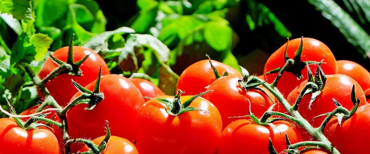 Etichetta derivati del pomodoro: scatta l'obbligo di indicazione dell'origine del pomodoro
