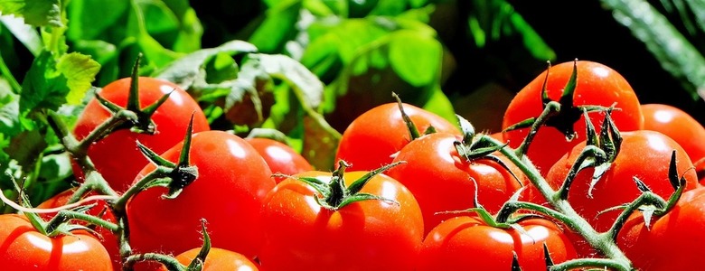 Etichetta derivati del pomodoro: scatta l'obbligo di indicazione dell'origine del pomodoro