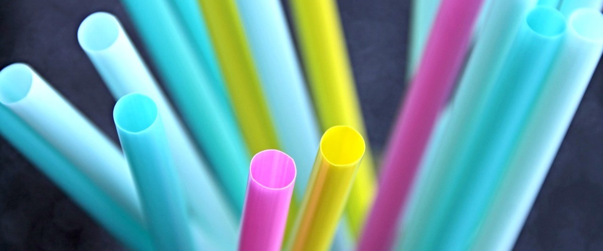 Stop alla plastica monouso entro il 2021: approvata la Direttiva UE