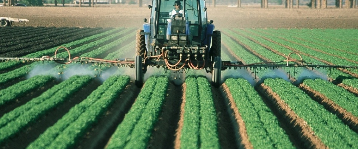 Legislazione fitosanitaria: nuove misure per ridurre i rischi degli organismi nocivi