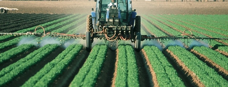 Legislazione fitosanitaria: nuove misure per ridurre i rischi degli organismi nocivi