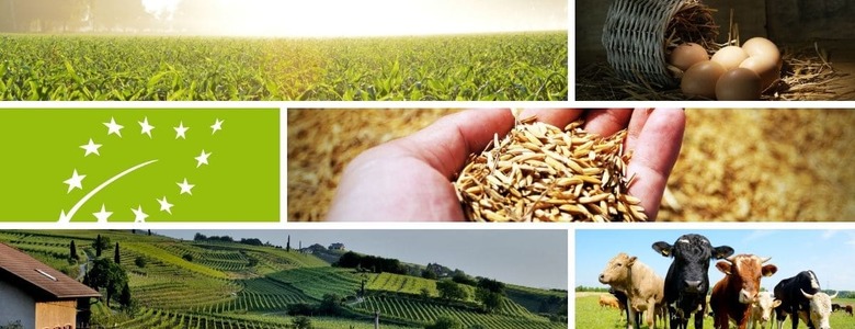 La Certificazione Biologica Europea: novità 2022