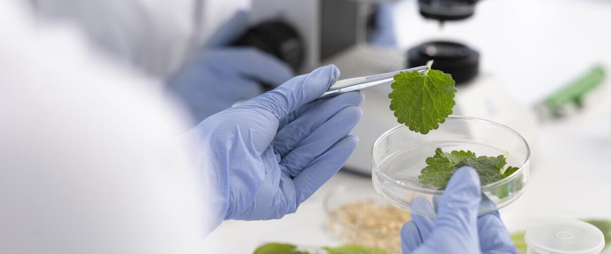 Contaminazione biologica degli alimenti: cosa devi sapere