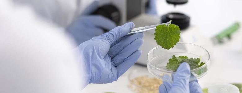 Contaminazione biologica degli alimenti: cosa devi sapere