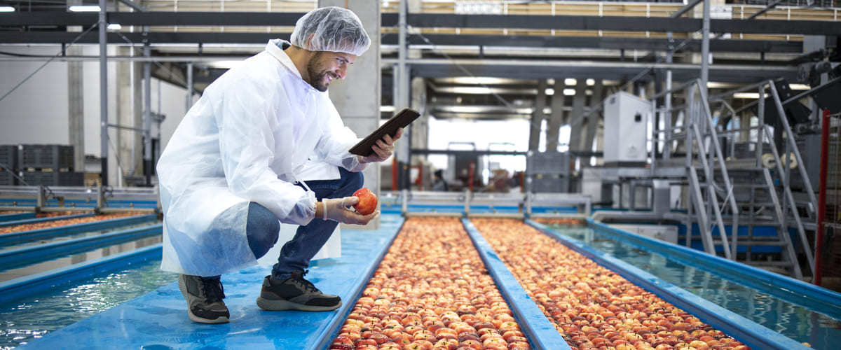 Food Safety Culture e Food Security: cosa devi sapere