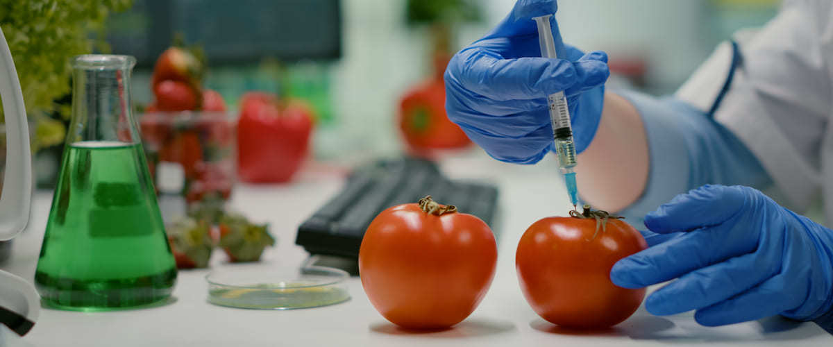 Contaminazione chimica degli alimenti: cosa devi sapere