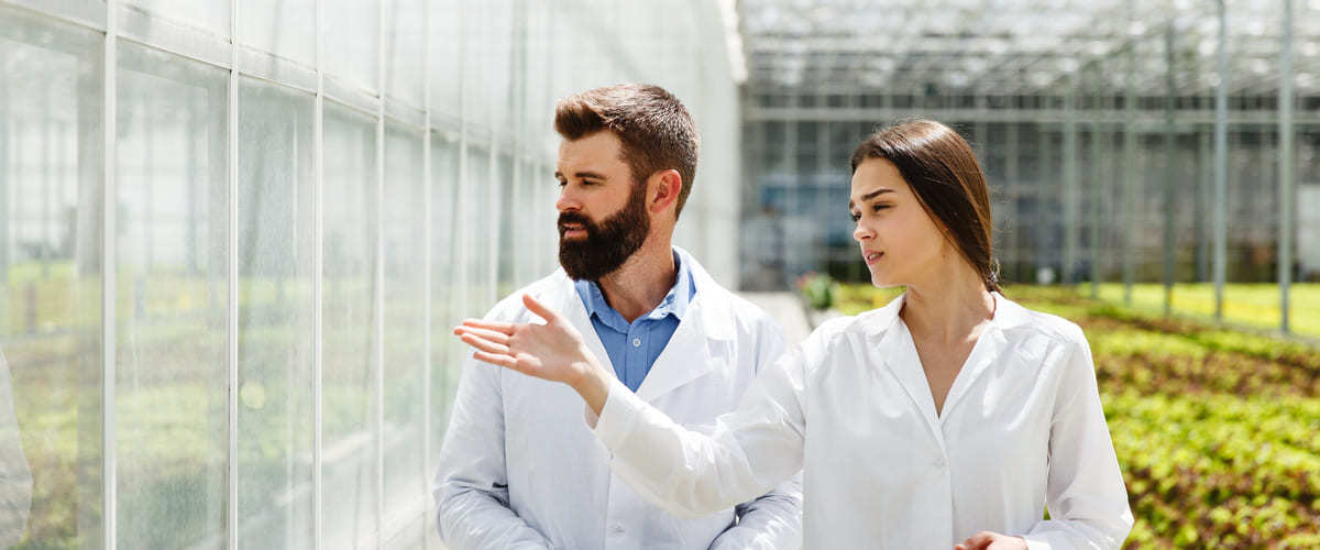 Cosa sapere sulla Certificazione IFS Food