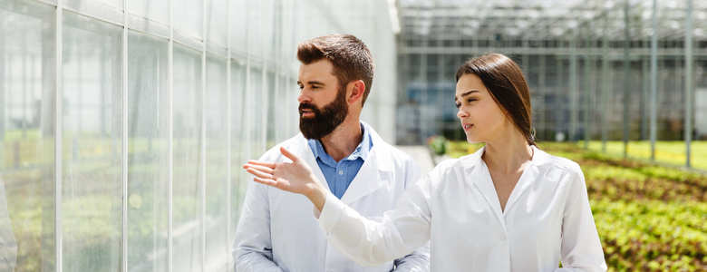 Cosa sapere sulla Certificazione IFS Food