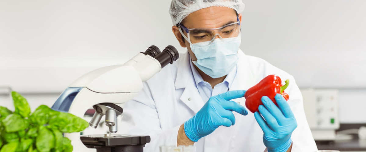 Il campionamento alimentare: una panoramica completa