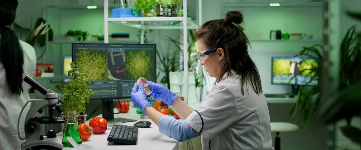 Food Defense: tutto quello che devi sapere