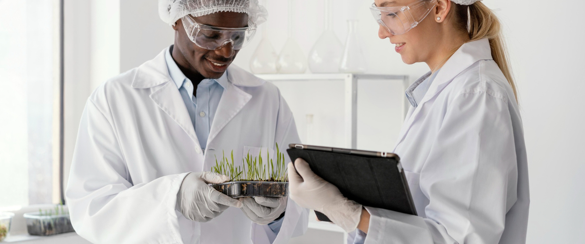 FSMA - Guida essenziale al Food Safety Modernization Act