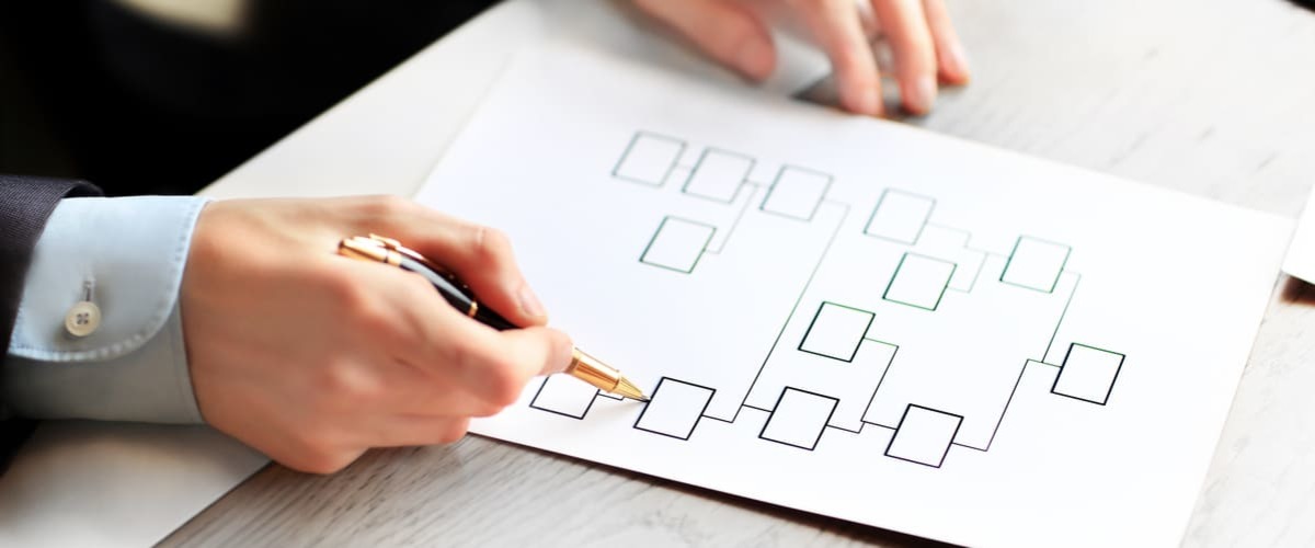 Diagramma di flusso HACCP: cosa devi sapere