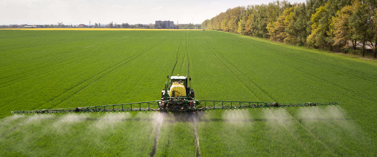 Pest Control Management per prodotti alimentari