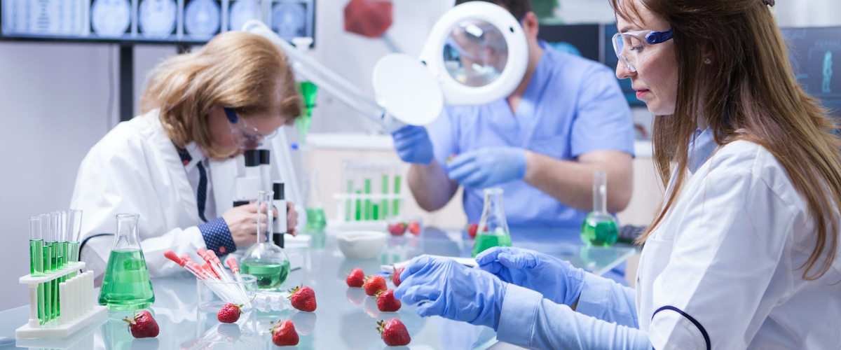 Tipologie di rischio e pericolo alimentare: differenze, analisi e gestione