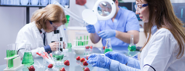 Tipologie di rischio e pericolo alimentare: differenze, analisi e gestione
